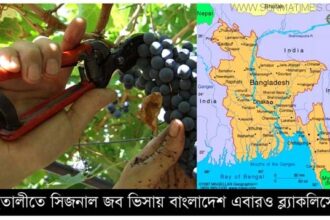 ইতালীতে সিজনাল জব ভিসায় বাংলাদেশ এবারও ব্ল্যাকলিস্টে - Surma Times Archive