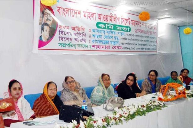 সিলেট মহানগর মহিলা আওয়ামীলীগের সম্মেলন বুধবার - Surma Times Archive