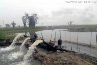 জামালগঞ্জে জলমহালের পানি সেচে চলছে মাছ ধরার মহোৎসব! - Surma Times Archive