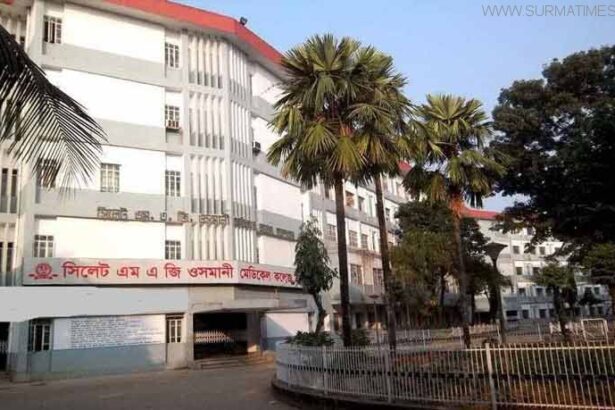 ওসমানীতে ইন্টার্নদের ধর্মঘটের ডাক - Surma Times Archive
