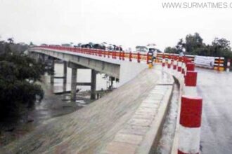 চন্দরপুর-সুনামপুর ব্রীজের উপর বাতি বসানো এখন সময়ের দাবি - Surma Times Archive