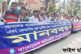সিলেট রেজিস্ট্রি অফিস দলিল লেখক-আইনজীবী সহকারীদের রশি টানাটানি - Surma Times Archive