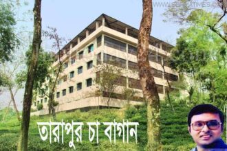তারাপুর চা-বাগান  উদ্ধারের প্রক্রিয়া শুরু-রাগীব আলীর ছেলে আবদুল হাইকে জেলা প্রশাসনের নোটিস - Surma Times Archive