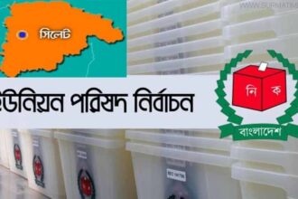 ইউপি নির্বাচন প্রচারণায় সরগরম সিলেট - Surma Times Archive