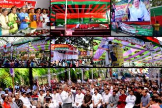ঢাকার কাউন্সিলে মিছিল দিয়ে যোগদান করল সিলেট মহানগর বিএনপি - Surma Times Archive