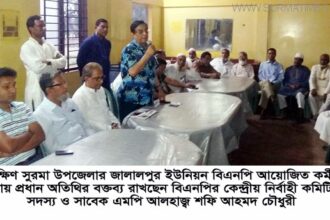দক্ষিণ সুরমায় জালালপুর ইউনিয়ন বিএনপির কর্মী সভা - Surma Times Archive