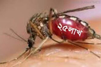 নগরীতে নয়া পরিকল্পনায় অভিযান শুরু-২৫ লাখ টাকার  ওষুধ খেয়েও মশা মরে না! - Surma Times Archive
