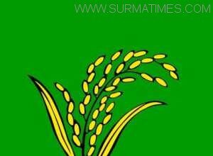 গোয়াইনঘাট রুস্তুমপুর ইউনিয়নে ধানের শীষ এগিয়ে - Surma Times Archive