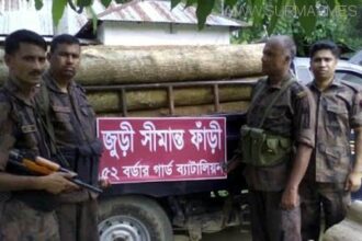 জুড়ীতে অবৈধ কাঠসহ গাড়ি আটক - Surma Times Archive