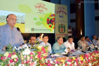 সিঙ্গাপুর মালয়েশিয়া ও ভারতের মতো বাংলাদেশও এগিয়ে যাবে - Surma Times Archive