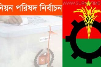 মৌলভীবাজারের ১২ ইউনিয়নে ধানের শীষের কাণ্ডারি হলেন যারা… - Surma Times Archive