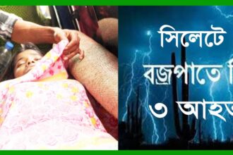 সিলেটে বজ্রপাতে নিহত ৩, আহত ৪ - Surma Times Archive