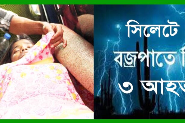 সিলেটে বজ্রপাতে নিহত ৩, আহত ৪ - Surma Times Archive