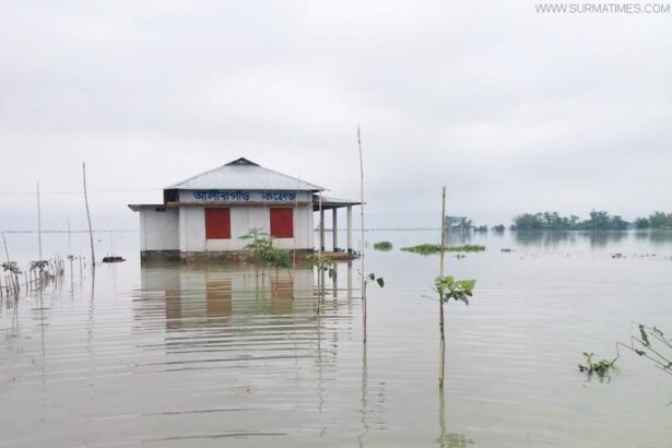 পাহাড়ি ঢলে গোয়াইনঘাটে আকস্মিক বন্যা - Surma Times Archive