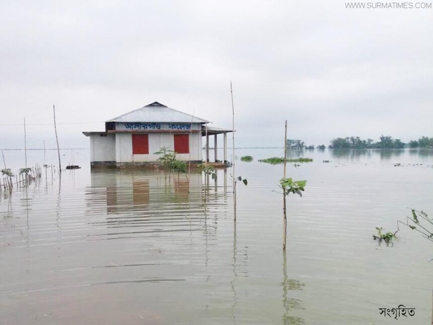 পাহাড়ি ঢলে গোয়াইনঘাটে আকস্মিক বন্যা - Surma Times Archive