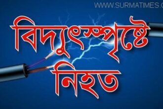 বিয়ানীবাজারে বিদ্যুৎস্পৃষ্ট হয়ে গৃহকর্মীর মৃত্যু - Surma Times Archive