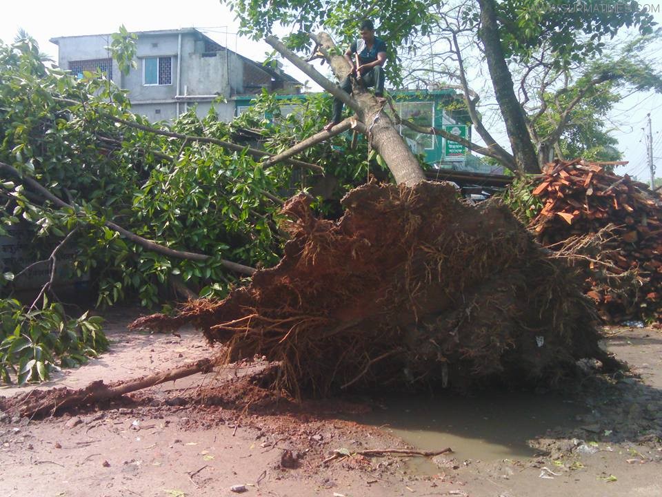 Picture Jhenaidah (4)