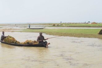 সুনামগঞ্জে কৃষকদের হাহাকার : দুর্গত এলাকা ঘোষণার দাবি - Surma Times Archive