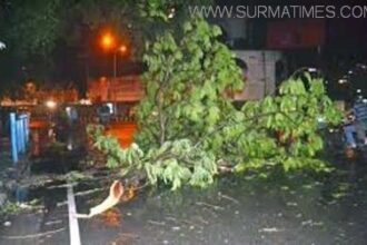 ছাতকে কালবৈশাখির তান্ডবে বৃদ্ধা নিহত ॥ আহত ৩০ : শতাধিক ঘরবাড়ি বিধ্বস্থ - Surma Times Archive