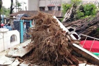 সিলেটে কালবৈশাখী ঝড়ে মাজার সমেত শতবর্ষি গাছ উপড়ে পড়লো মাদ্রাসার চালে - Surma Times Archive